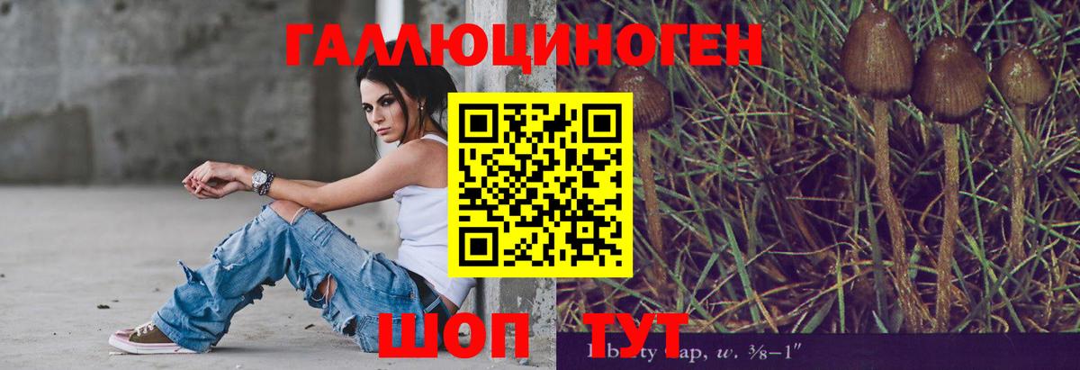 Псилоцибиновые грибы ЛСД  Вход с VPN  Гатчина 